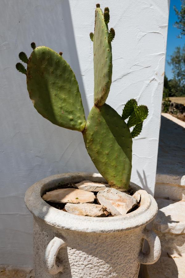 Il Trullo Della Rondinina Villa Alberobello Kültér fotó