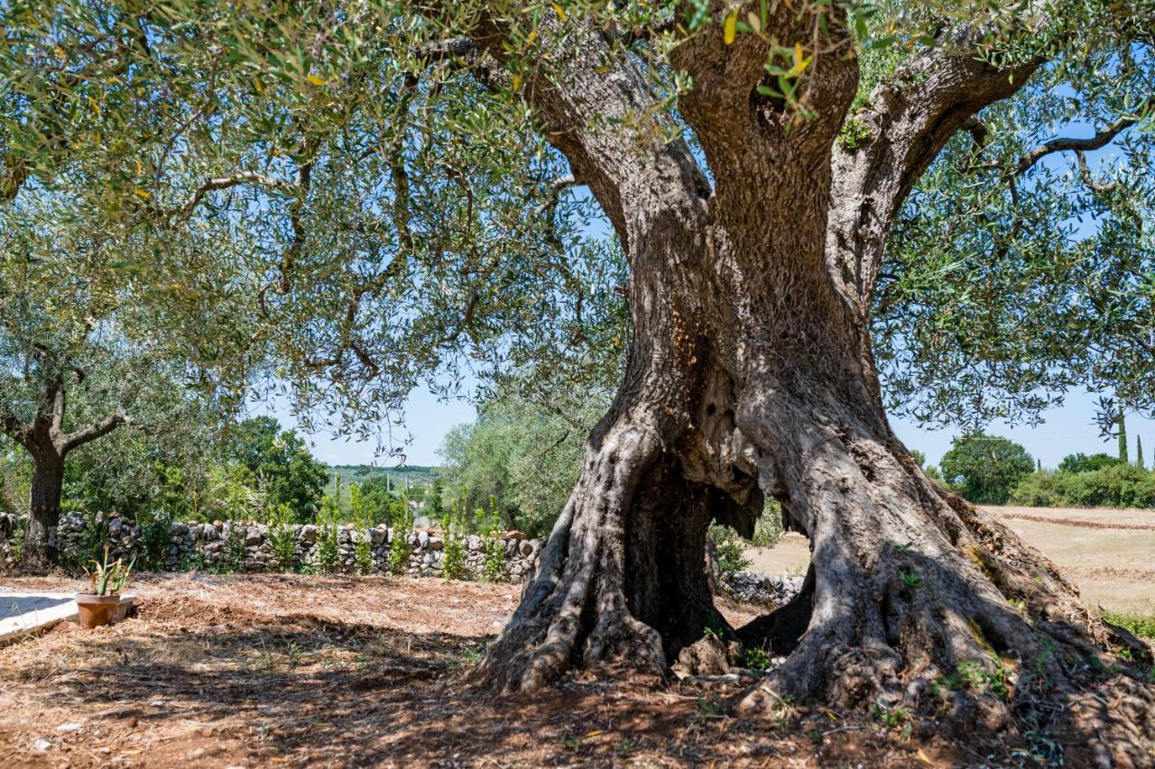 Il Trullo Della Rondinina Villa Alberobello Kültér fotó